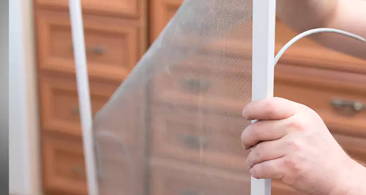 Privacy Mesh Screen Door Installation in Belmont, CA